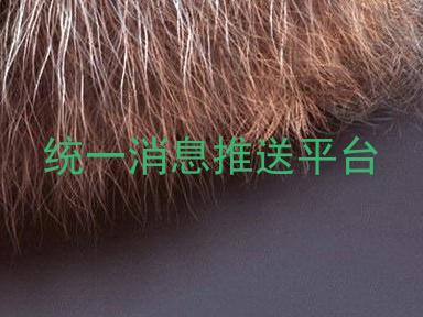 统一消息推送平台