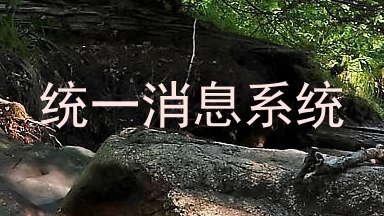 统一消息系统