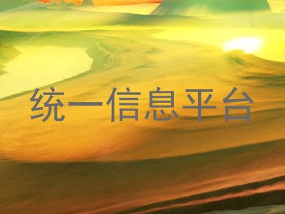 统一信息平台