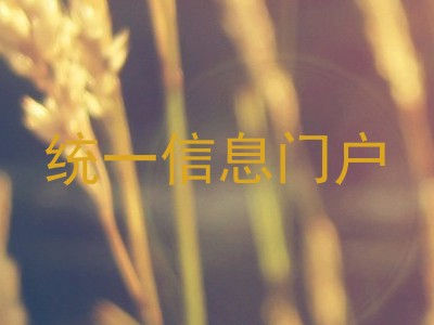 统一信息门户