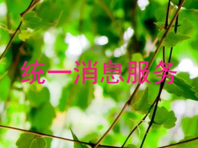 统一消息服务