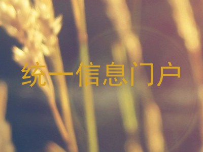 统一信息门户