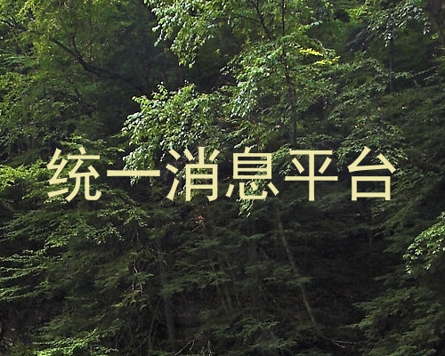 统一消息平台