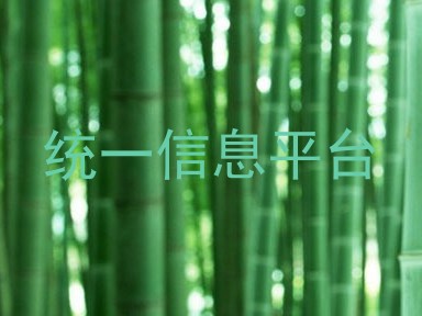 统一信息平台