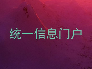 统一信息门户