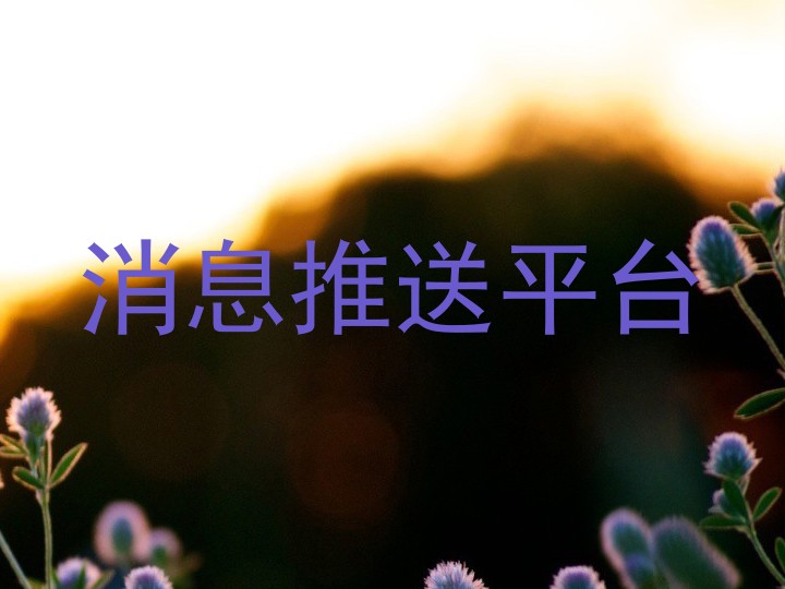 消息推送平台