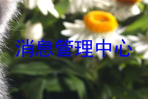 消息管理中心