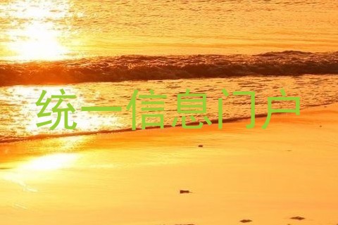 统一信息门户