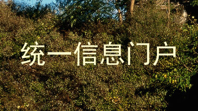 统一信息门户