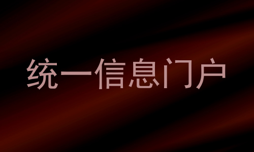 统一信息门户