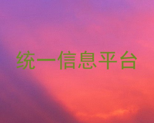 统一信息平台