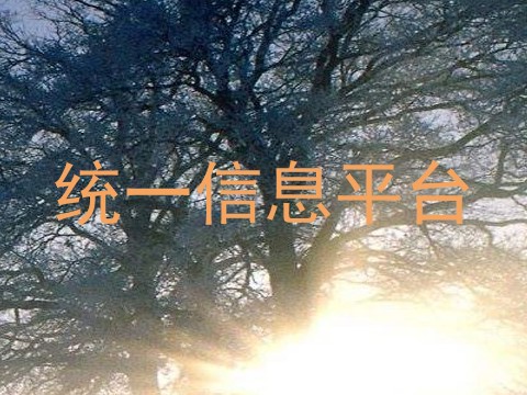统一信息平台