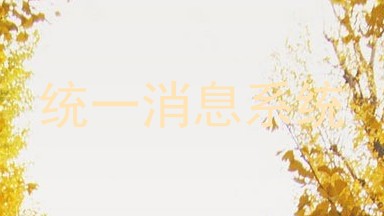 统一消息系统