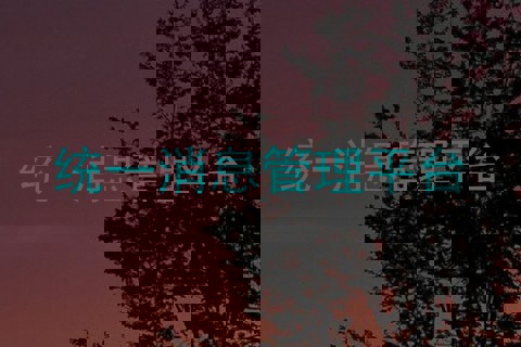 统一消息管理平台