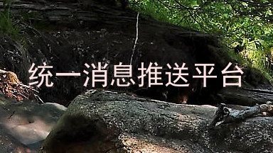 统一消息推送平台