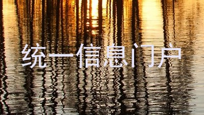 统一信息门户