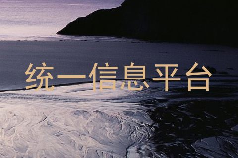 统一信息平台