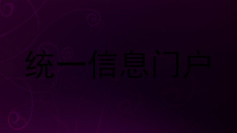 统一信息门户
