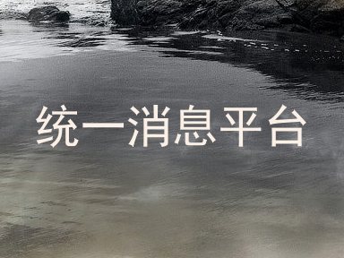 统一消息平台