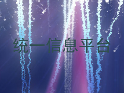 统一信息平台