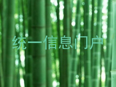 统一信息门户