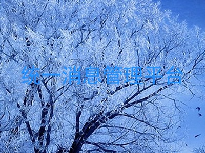 统一消息管理平台