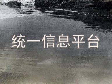 统一信息平台