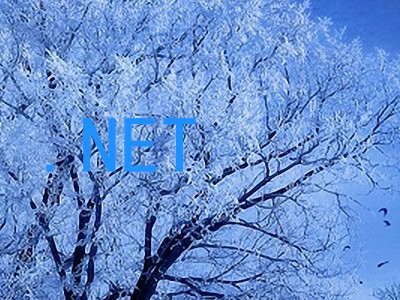 .NET