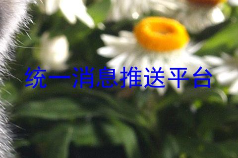 统一消息推送平台