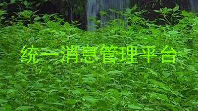统一消息管理平台