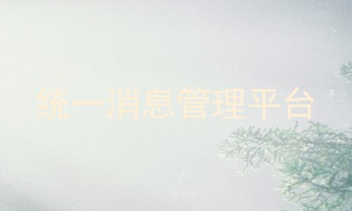 统一消息管理平台