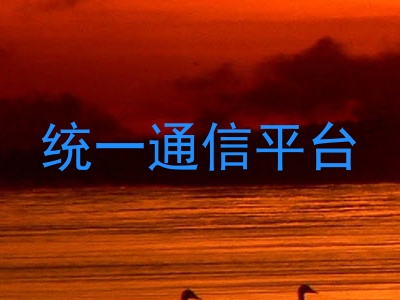 统一通信平台