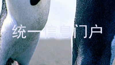 统一信息门户