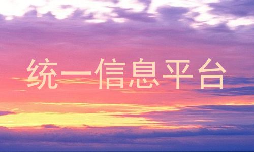 统一信息平台
