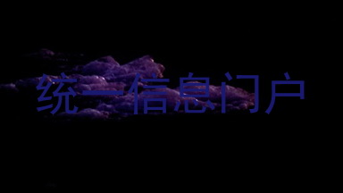 统一信息门户