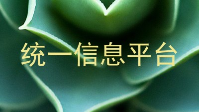 统一信息平台