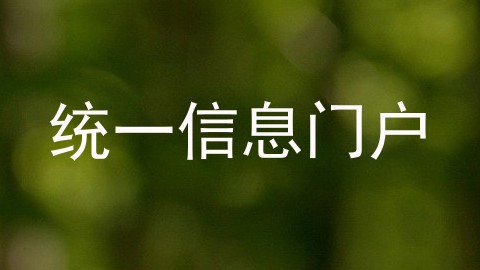 统一信息门户