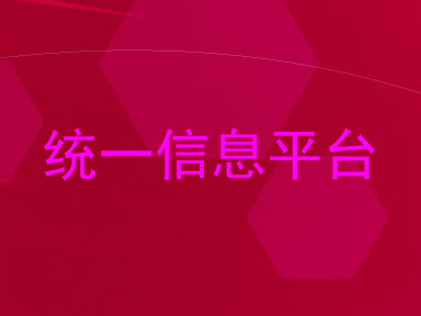 统一信息平台