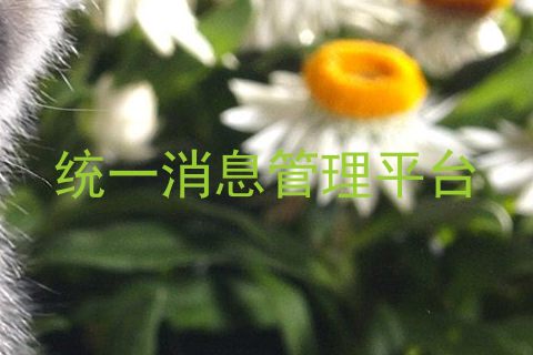 统一消息管理平台