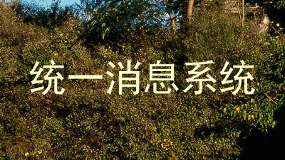 统一消息系统