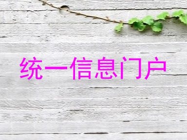 统一信息门户