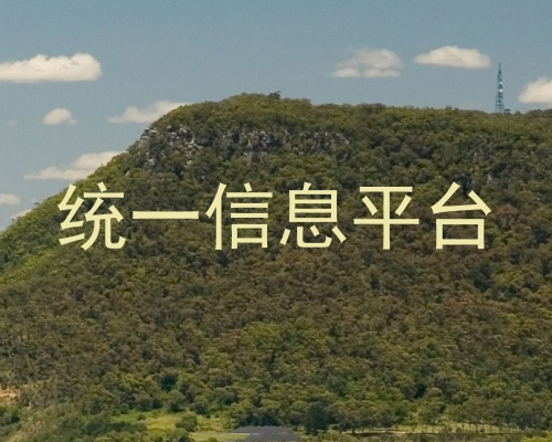 统一信息平台