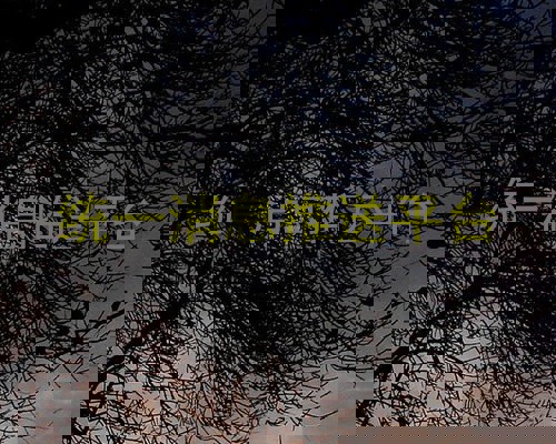 统一消息推送平台