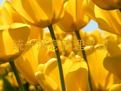 统一消息管理平台