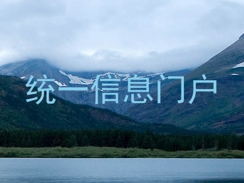 统一信息门户