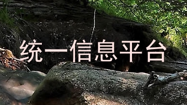统一信息平台