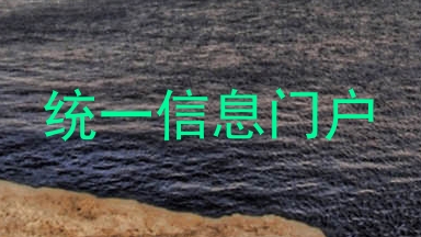 统一信息门户
