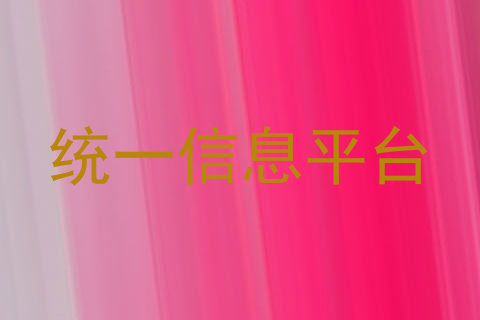 统一信息平台