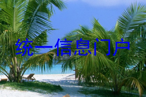 统一信息门户