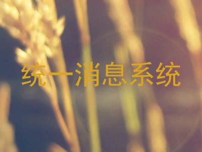 统一消息系统